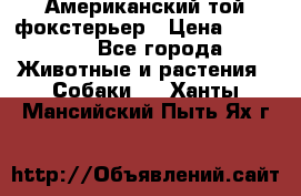 Американский той фокстерьер › Цена ­ 25 000 - Все города Животные и растения » Собаки   . Ханты-Мансийский,Пыть-Ях г.